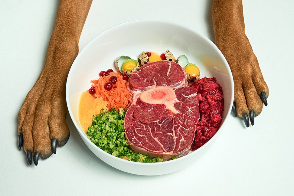 renal dog food recipe